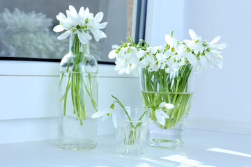 Fototapeta premium Beautiful bouquets of snowdrops in vases on windowsill
