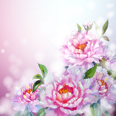 Peonies flowers background.