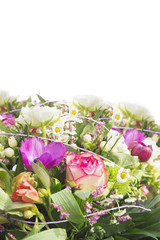bunch of anemones,daisies,buttercups,border, isolated