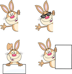 Cute Rabbits Cartoon Mascot Characters 3. Set Collection