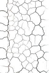 Cracked texture