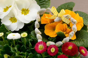 Frühlingsblumen mit Herz © Caro