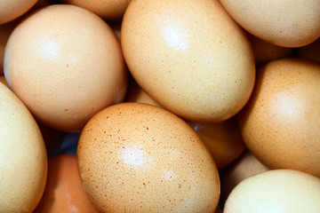  fresh eggs
