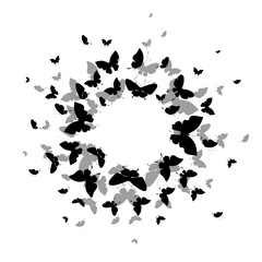 butterflies design