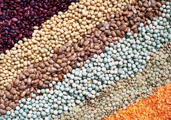 Legumes