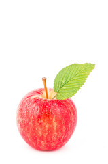 apple on a white background isolated