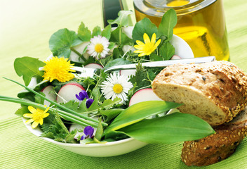 Salat aus Wildkräutern © Johanna Mühlbauer