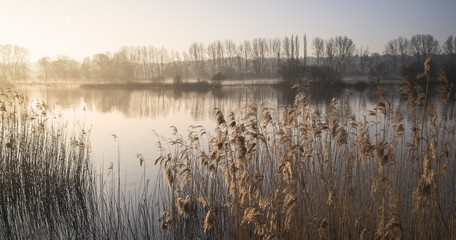 Landscape of lake in mist with sun glow at sunrise