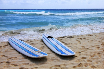 Surfboards at beach - 62741705