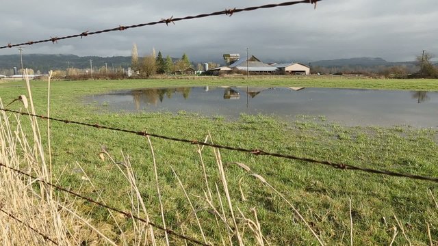 Farm Land Flooding Dolly Shot