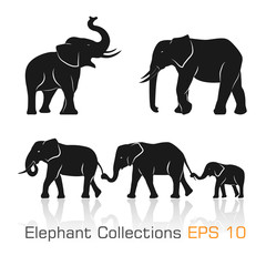 Fototapeta premium Set of black & white elephants in different poses