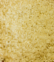 Cooked white rice background.