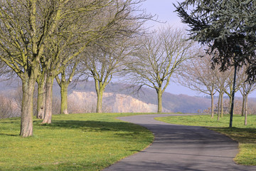 Trails