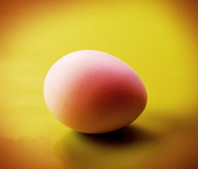 chicken egg