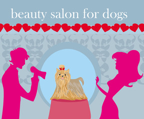 beauty salon for dogs
