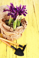 Beautiful irises and gardening tools on wooden table