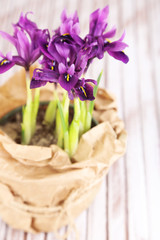 Beautiful irises on wooden table