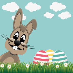 brown bunny side colorful eggs daisy meadow
