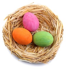 Easter eggs in nest isolated on white
