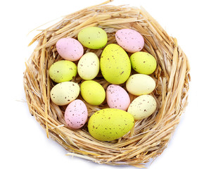 Easter eggs in nest isolated on white