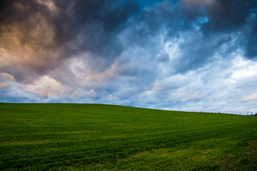 green field background