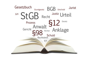 Buch mit Begriffen Justiz