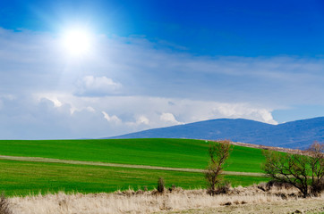 Fototapety na wymiar - Fototapeta24.pl