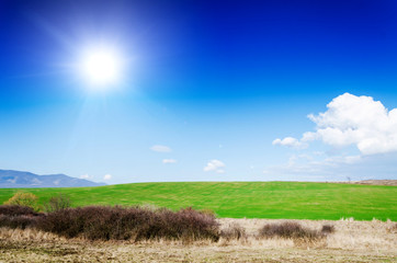 Fototapety na wymiar - Fototapeta24.pl