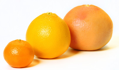 Citrus fruits isolated on white