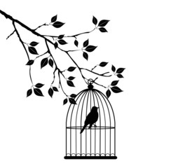 vector bird in a cage in the tree