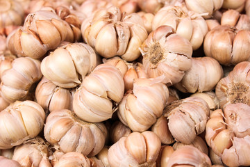 garlic for cooking  texture background