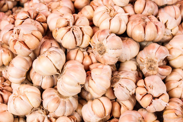 garlic for cooking  texture background