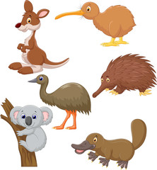 Fototapeta premium Australian animal cartoon