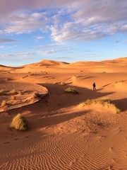 deserto