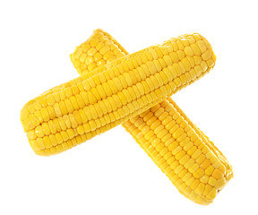 Ripe Yellow Corn Isolated on White
