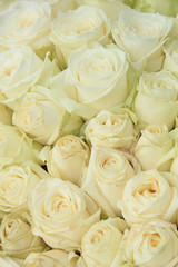 White roses in a wedding arrangement