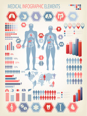 Medical infographics elements. Human body with internal organs.