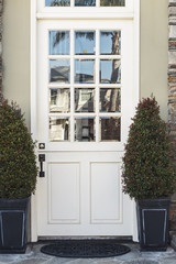White front door to modern home flanked by plants