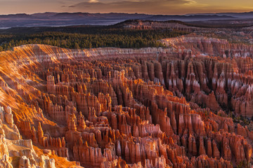 Silent City - Bryce Canyon - obrazy, fototapety, plakaty