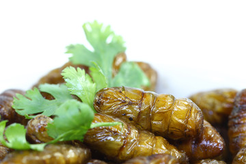 Fried insects.