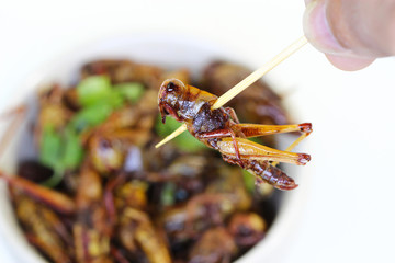 Fried insects.