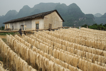 Sisal fiber, raw material from China - obrazy, fototapety, plakaty