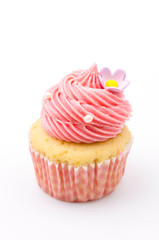 Vanilla cupcakes isolated white background