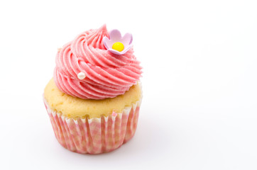 Vanilla cupcakes isolated white background