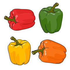Set peppers colorfull vector