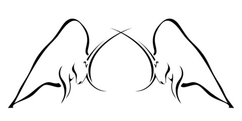 Two wild bull in the spring tournament