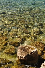 At the bottom of the sea. View through water