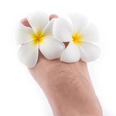 Fototapeta na wymiar isolated of the foot with frangipani flower in spa on white back