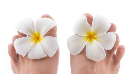 Obraz na płótnie Canvas isolated of the foot with frangipani flower in spa on white back
