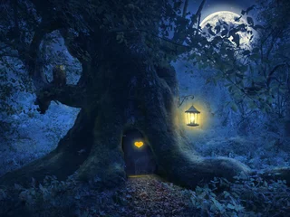 Foto op Plexiglas Tree home in the magic forest © PetarPaunchev